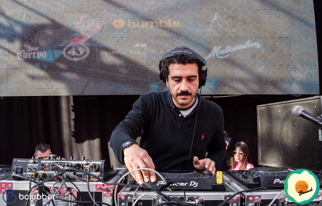 al bash performing